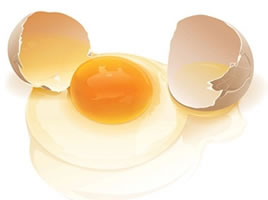 残留薬物および農薬の卵迅速検査キット